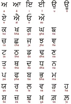 11 best punjabi language images indian language languages learning punjabi language