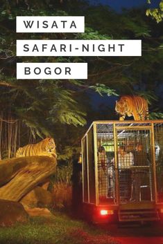 11 Best Tour Bogor Images Bogor Tours Adventure Tours 11 Best Tour Bogor Images Bogor Tours Adventure Tours