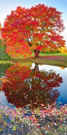 maple park men Latest local news for maple park, il : local news for maple park, il continually updated from thousands of sources on the web. maple park men Latest local news for maple park, il : local news for maple park, il continually updated from thousands of sources on the web.