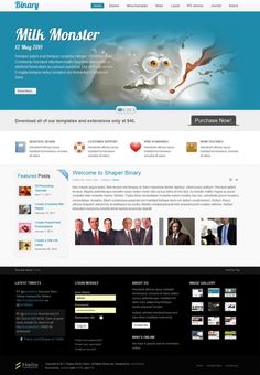 Binary option website templates