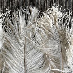 Ostrich Coque Feather Millinery Fascinator Shoulder Head Craft Earring Fringe