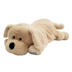 washable weighted buddy kitten Marie cat 3 lbs sensory toy Aristocat Weighted stuffed animal washable weighted buddy kitten Marie cat 3 lbs sensory toy Aristocat Weighted stuffed animal
