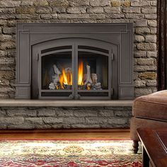 Fireplace Inserts | Pellet stove inserts Pellet stove and Napoleon