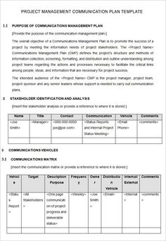 sample it project plan