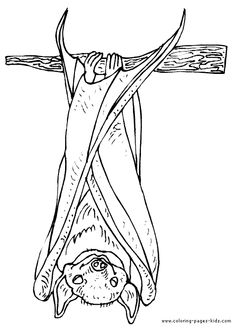 9 Bat ideas bat cute bat bat coloring pages