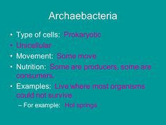 archaebacteria examples
