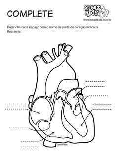 Literatura infantino juvenile brasileira pdf
