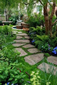 21 Best Whole Plant Nursery Supplieaterials 21 Best Whole Plant Nursery Supplieaterials