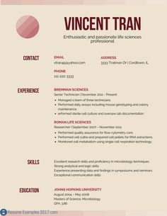 resume examples 16 year old pinterest resume examples and template