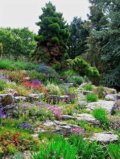 Garden Design Rockery rock garden ideas – planning and building a rockery garden Garden Design Rockery rock garden ideas – planning and building a rockery garden