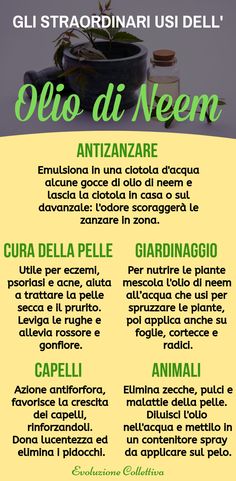 dieta indiana sana per il diabete gestazionale durante la gravidanza dieta indiana sana per il diabete gestazionale durante la gravidanza