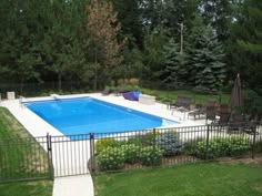 Pool #065 by Dolphin Pools And Spas | Pool ideas | Pinterest | Spa ... Pool #065 by Dolphin Pools And Spas | Pool ideas | Pinterest | Spa ...