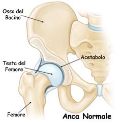 diagnosi e trattamento del cancro alla prostata mayo clinicmayo clinic