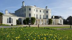 Southwest Devon Wedding Venue Near Plymouth Photography By Ashley The Beginnings Of Spring Flower Meadow In Early March