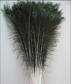 per 25 American Feathers Eyed Peacock Tail Feathers 30-35 Dyed Bleached Tan