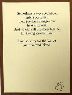 sympathy for loss of pet sympathy quotes loss of pet quotesgram pet loss sympathy