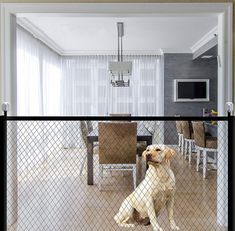 6 Pets Inside Red Safety Alert Warning Window Door Stickers; In Fire or Emergency They Notify Rescue Personnel to Save Pet by SecurePro Monitoring
