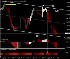 Diverse knowledge forex