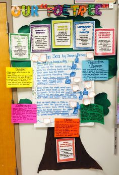 public school essay key biscayne