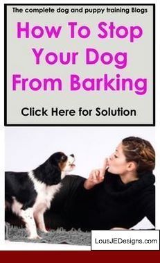How To Train Your Dog To Stop Barking Unnecessarily And Pics Of