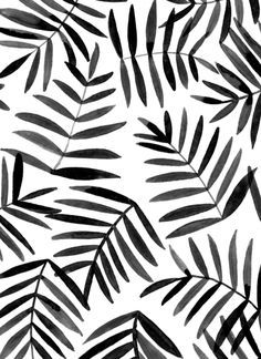 The 396 Best Black And White Prints Images On Pinterest In 2018 Black Leaves Ink Pattern And White Background Palm