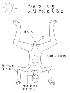 高校の先生が「花の作りを人間で例えた絵」が衝撃的 Temp, Vows, Senses, Cool Pictures, Expressions, Study, Japan, Reference, Funny