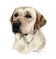 Original Oil Painting Yellow Lab Dog Painting One by ... Original Oil Painting Yellow Lab Dog Painting One by ...