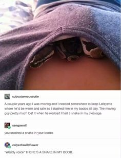 157 best snek images in 2018 snakes cute snake funny animals