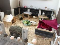 Die 40+ besten Bilder zu Meerschweinchen haus in 2020 SchweiniKäfig aus IKEA Tischen | Meerschweinchenstall