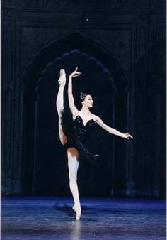 Professionnel Adulte Femme Fille de ballet de danse 4-layer Dur Net Tutu Noir pratique