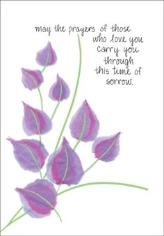 269 best cards sympathy