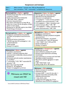pin by ali meihls on nursing school pinterest school