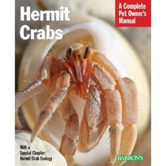 15 best hermit crabs