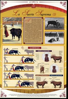 41 Ideas De Toros Toros Toros De Lidia Toros Y Toreros