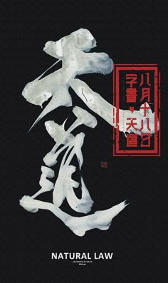 Graphic Design Posters, Chinese Typography, Japanese Design, Japanese Art Prints, Japan Art, Graphic Poster, Graphic, Design Art