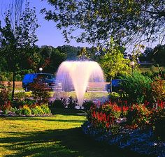 pond fountains for sale something fishie large pond fountains something fishie photo gallery pond fountains outdoor backyard 14 best images fountains water features pond fountains for sale something fishie large pond fountains something fishie photo gallery pond fountains outdoor backyard 14 best images fountains water features