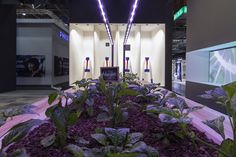 Plafoniere Minsung : 15 fantastiche immagini su events the colour