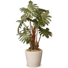 Aglaonema Leaf Bush Sweet Home Deco Water-Resistant Faux Plant Artificial Leaf Bush Small Size Bush DIY Craft Greenery Set of 3