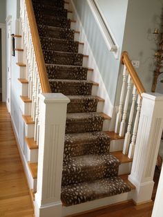 25 Best Antelope Runner Images Stair Runners Staircase Antelope Stair Runner Decor Carpet Stairs Staircase Runners Foyer