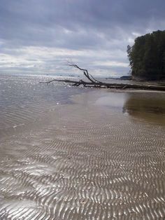 155 Best Calvert County Maryland Images On Pinterest In 2018 Chesapeake Beach Md