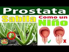 cuando la próstata perturba qué hacer 20 cuando la próstata perturba qué hacer 20