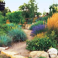 183 Best Drought Resistant Landscaping Images On Pinterest In 2018 34 Gorgeous Garden Paths Mediterranean Gardendrought Resistant