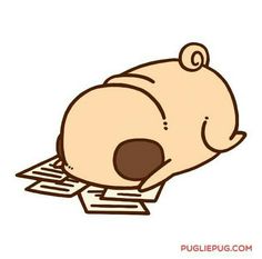 62 best pugs images pug dogs cute drawings funny pugs