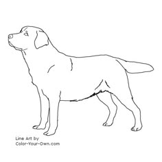 golden retriever puppy coloring page coloring pages hand