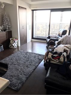 片付け のアイデア 21 件 汚部屋 片付け 部屋の整理 片付け のアイデア 21 件 汚部屋 片付け 部屋の整理