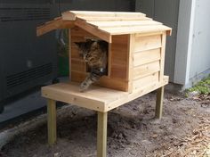 Outdoor Cat House Elevated Outdoor Cat House Outside Dogs Outside Cat House Feral Outdoor Cat House Elevated Outdoor Cat House Outside Dogs Outside Cat House Feral