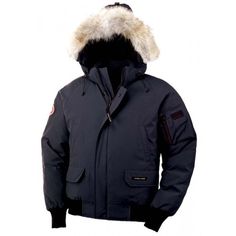 Canada Goose Borden Bomber verde Canada Goose Borden Bomber verde