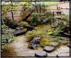 Small Anese Garden Transforms This Backyard Watch Plant For Fall Color Some Gardeners Seem To Regard As The Closing Down Season