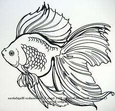 Goldfish Betta Fish Coloring Pages Printable Book Ideas
