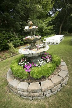 Pin on Garden Ideas